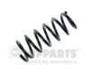 NIPPARTS N5554050 Coil Spring